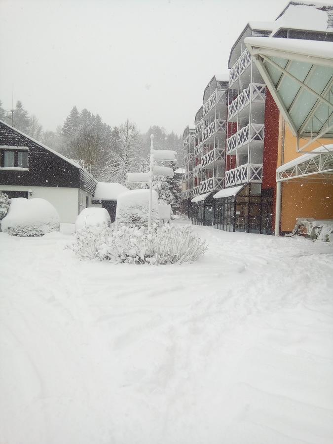 Hotel Am Park